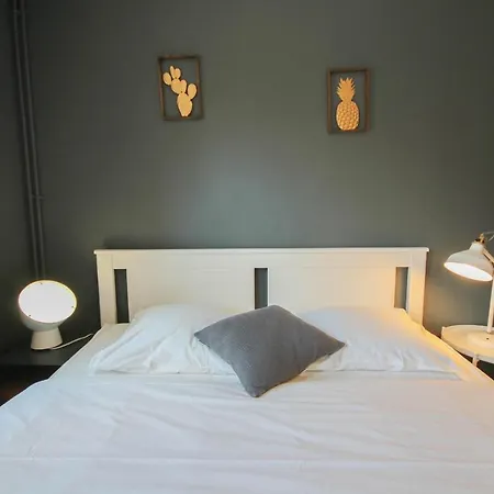 Vieux - Joli Studio Fonctionnel ! Appartamento Lilla
